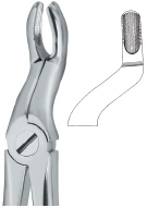 TOOTH EXTRACTING FORCEPS|(ENG)