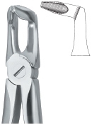 THIRD MOLARS ,DEEP GRIPPING 79N