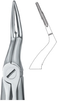 TOOTH EXTRACTING FORCEPS|(ENG)