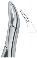 TOOTH EXT FORCEPS AMR