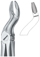TOOTH EXTRACTING FORCEPS|(ENG)