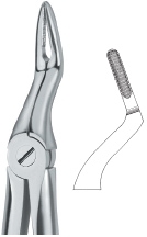 MARTIN ERGO ,VERY FINE ROOTS 97