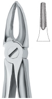 TOOTH EXT FORCEPS