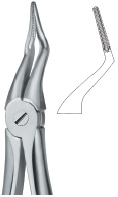 TOOTH EXT FORCEPS