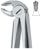 LOWER MOLARS ,UNIVERSAL 22