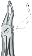TOOTH EXT FORCEPS