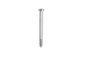 Cancellous Bone Screw Cl>6.5 mm, thread length 16 mm, Self-tapping